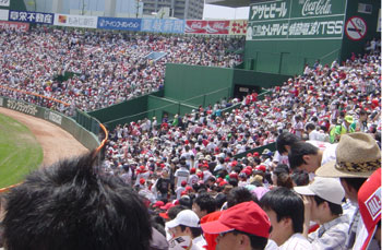 carp0521b.jpg (37721 �o�C�g)