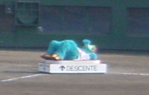 carp0521d.jpg (9011 �o�C�g)