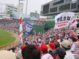 carp0604b.jpg (32619 �o�C�g)