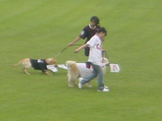 carp0604k.jpg (10553 �o�C�g)