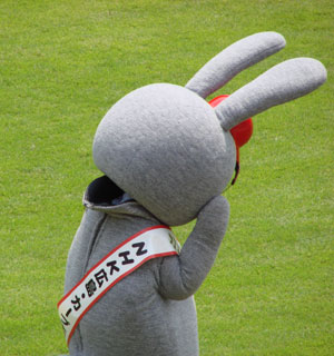 carp0611d.jpg (27641 �o�C�g)