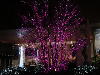 dremi06.jpg (31298 �o�C�g)