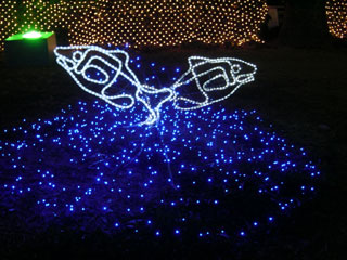 dremi11.jpg (30647 �o�C�g)