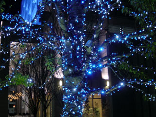 dremi14.jpg (35214 �o�C�g)