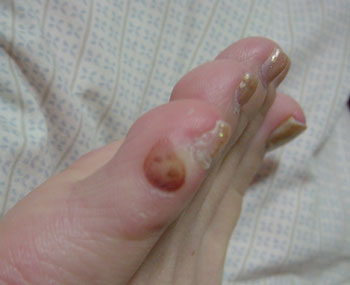 jinmen.jpg (15067 �o�C�g)