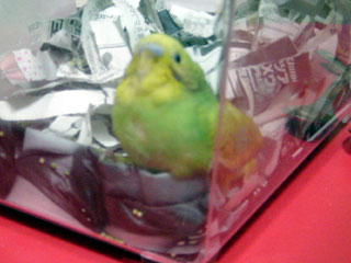 peko05.jpg (19259 �o�C�g)