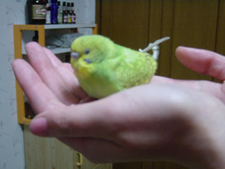 peko06.jpg (13334 �o�C�g)