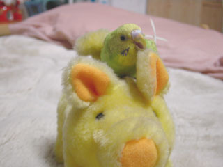 peko07.jpg (12769 �o�C�g)