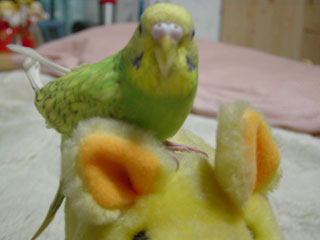 peko09.jpg (13979 �o�C�g)