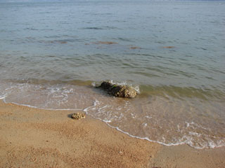 0716_e.jpg (17599 �o�C�g)