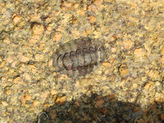 0716_h.jpg (36406 �o�C�g)