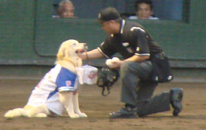 0730_j.jpg (13865 �o�C�g)