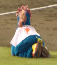 0730_k.jpg (10472 �o�C�g)