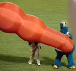 0816_i.jpg (12126 �o�C�g)