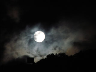 1006_b.jpg (5946 �o�C�g)