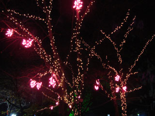 drimi07.jpg (24163 �o�C�g)