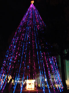 drimi10.jpg (28869 �o�C�g)