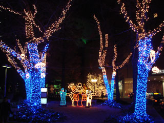 drimi11.jpg (33187 �o�C�g)