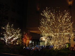 drimi12.jpg (25022 �o�C�g)