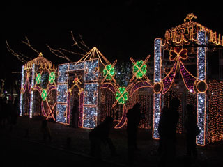 drimi19.jpg (25736 �o�C�g)