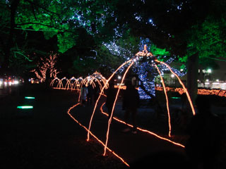 drimi22.jpg (24073 �o�C�g)