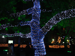 drimi23.jpg (32198 �o�C�g)