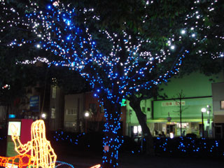 drimi28.jpg (33191 �o�C�g)