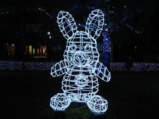 drimi33.jpg (22395 �o�C�g)