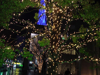 drimi45.jpg (34811 �o�C�g)