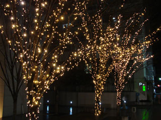 drimi46.jpg (31487 �o�C�g)