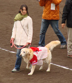 fun05.jpg (20315 �o�C�g)