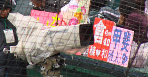 fun09.jpg (20138 �o�C�g)