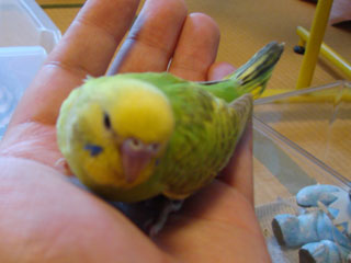 pico03.jpg (16367 �o�C�g)