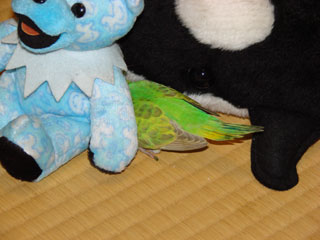 pico04.jpg (18462 �o�C�g)