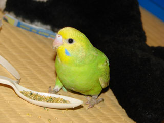 pico05.jpg (15489 �o�C�g)