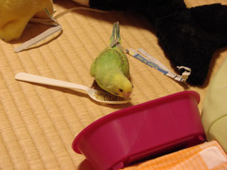 pico07.jpg (17814 �o�C�g)