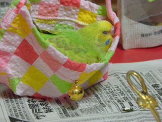 pico09.jpg (23971 �o�C�g)