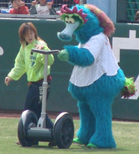 carp0415_12.jpg (14352 �o�C�g)