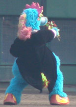 carp0415_19.jpg (8631 �o�C�g)