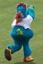 carp0430_08.jpg (10708 �o�C�g)