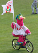 carp0430_20.jpg (11699 �o�C�g)