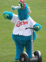 carp0503_12.jpg (10428 �o�C�g)