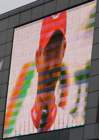 carp0503_25.jpg (18118 �o�C�g)