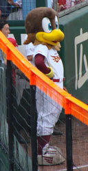 0624_23.jpg (12902 �o�C�g)