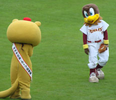 0624_24.jpg (11550 �o�C�g)