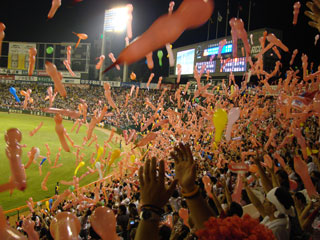 0805_34.jpg (35169 �o�C�g)