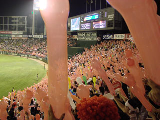 0805_35.jpg (25992 �o�C�g)