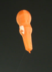 0805_37.jpg (4244 �o�C�g)