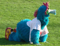 0812_11.jpg (12091 �o�C�g)