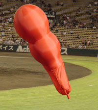 0812_23.jpg (13038 �o�C�g)